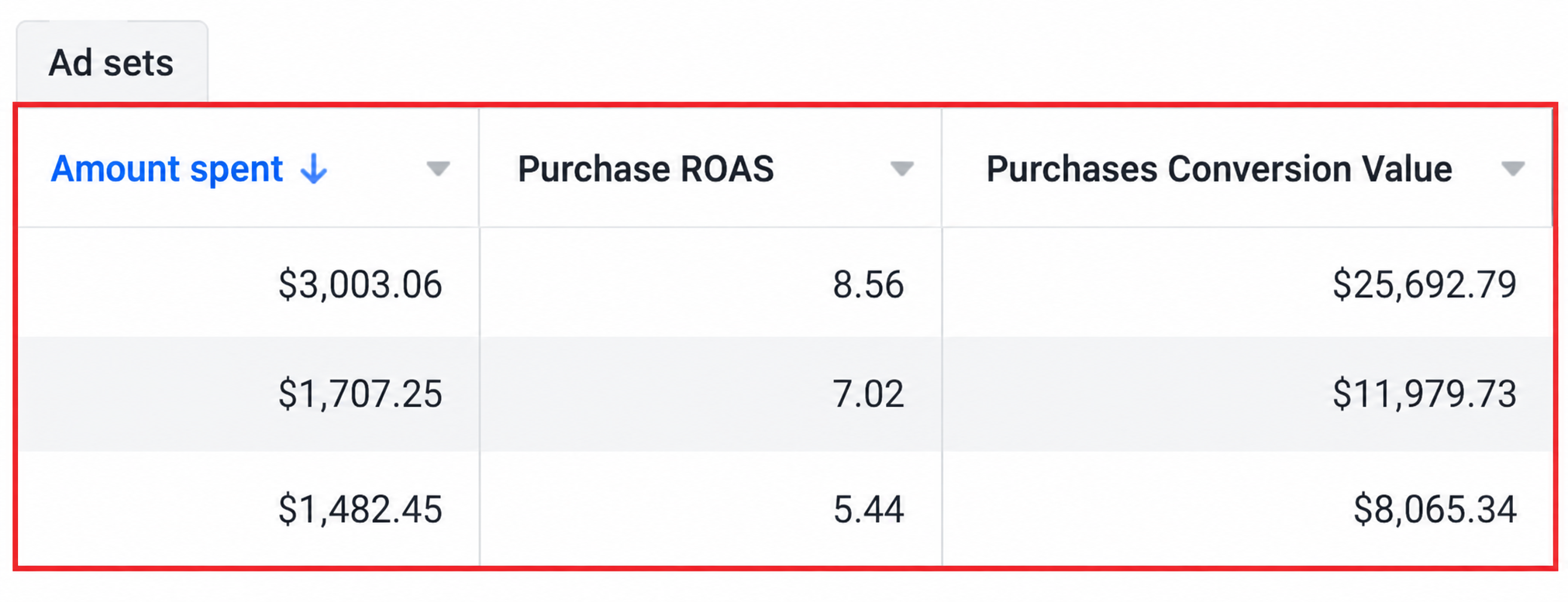 Selected ad-set rows: spend $3,003.06, $1,707.25 and $1,482.45; ROAS 8.56, 7.02 and 5.44; conversion values $25,692.79, $11,979.73 and $8,065.34.